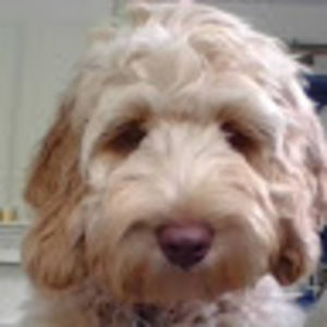 Meet your Posher, Della